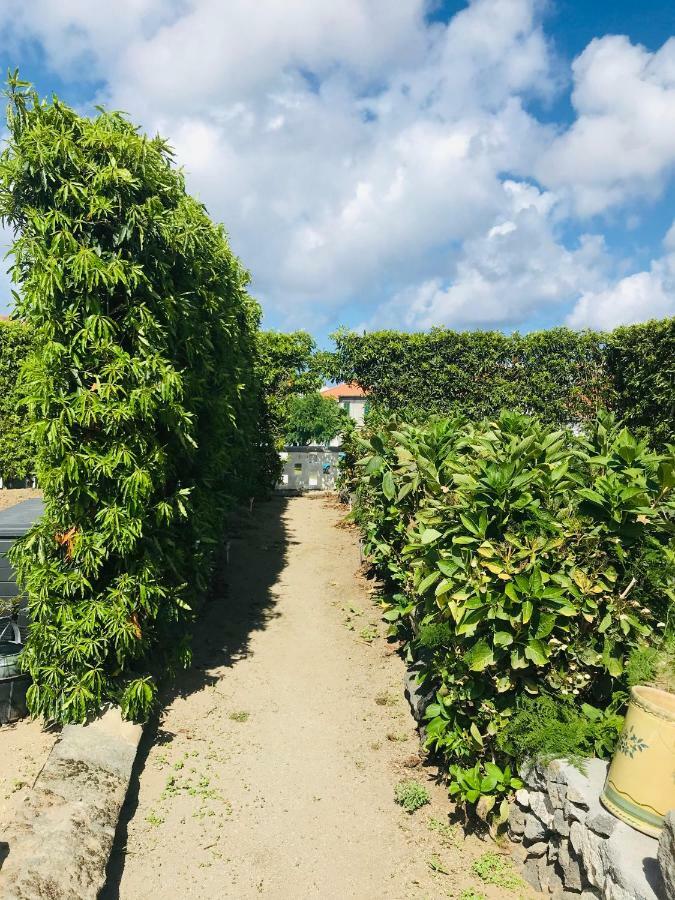 Casas Da Quinta Villa Ribeira Grande Dış mekan fotoğraf